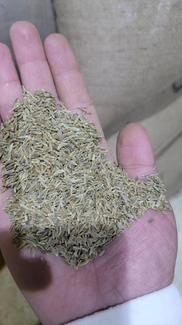Cumin Seeds
