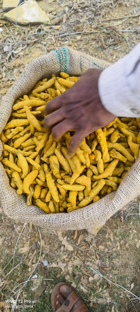 Turmeric