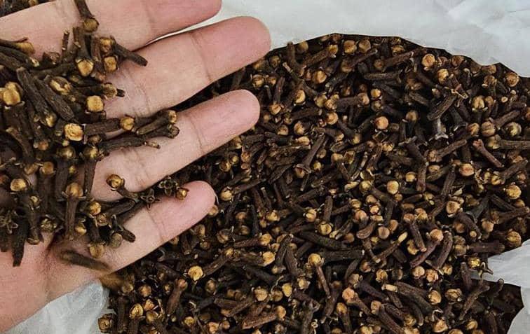 Cloves